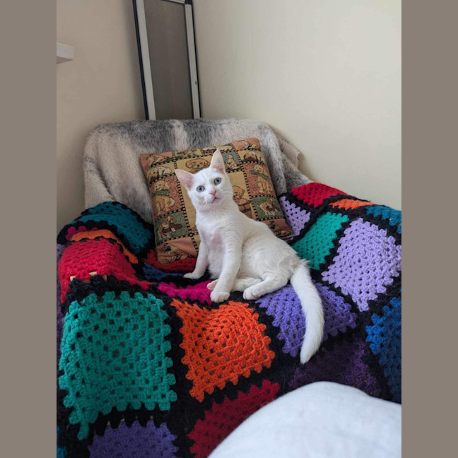 Photo of Parsnip & Yam