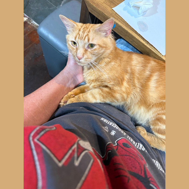 Photo of Tiggy