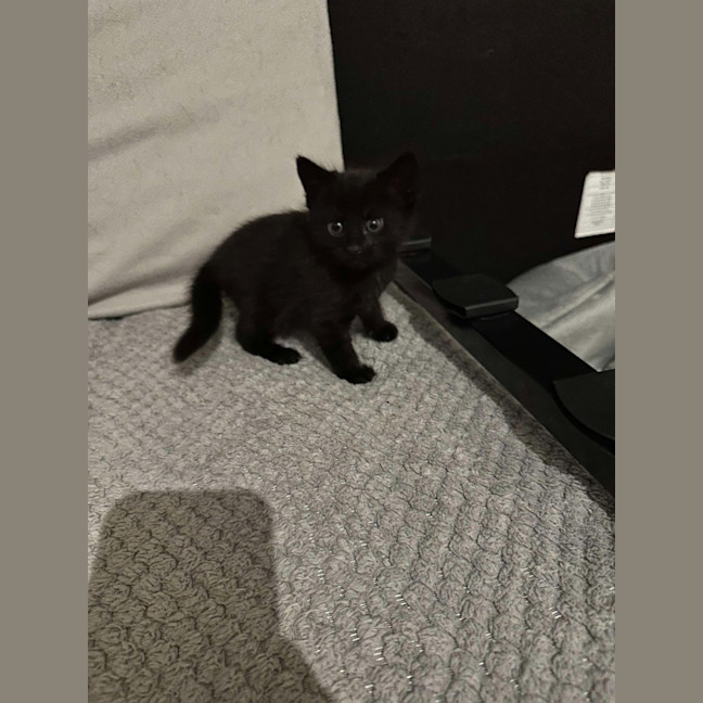 Photo of Marcy