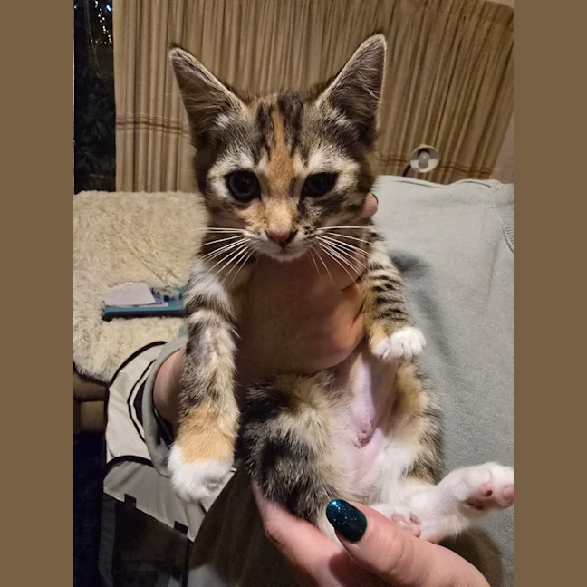 Photo of Enid Addams