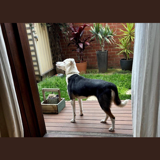 Photo of Xena Uffelman