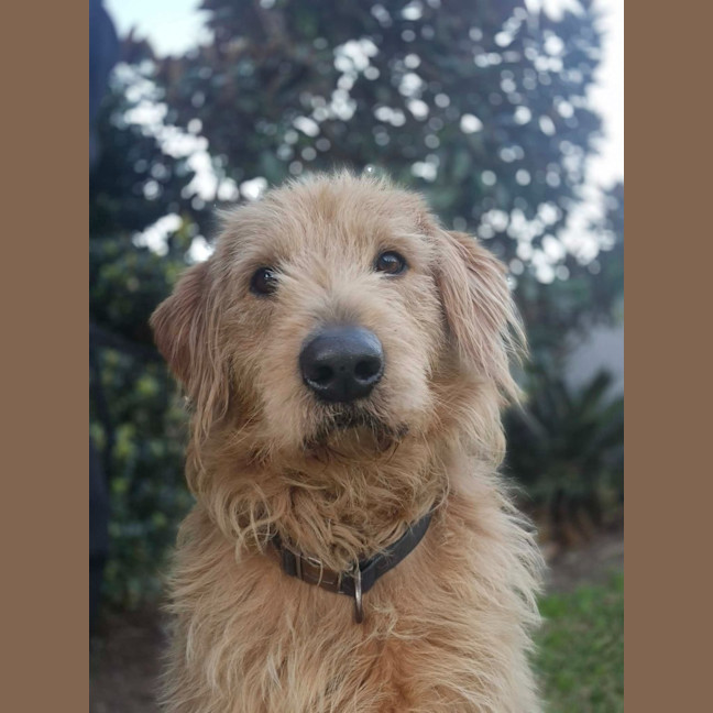 Photo of Charlie