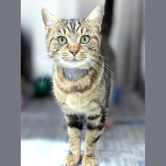 Photo of Evangeline