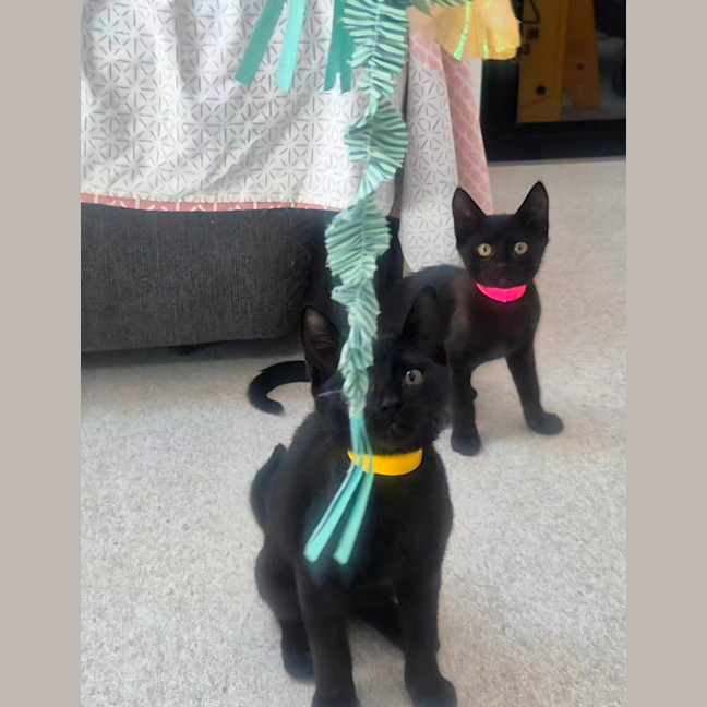 Photo of Mary (9202)