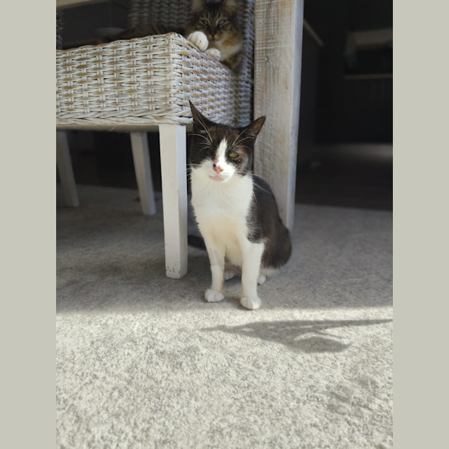 Photo of Lucky