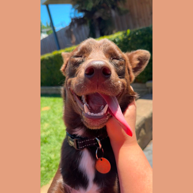 Photo of Max Brenner 🍫 