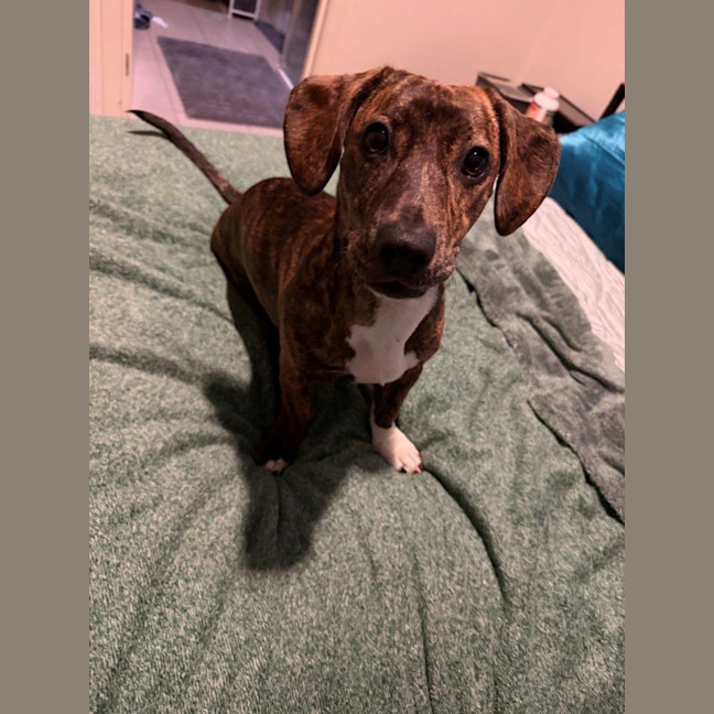 Photo of Willow Cervantes