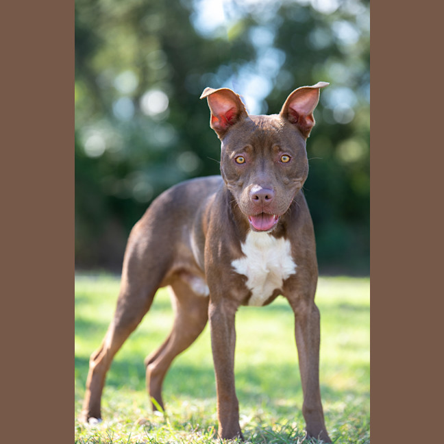 Photo of Jasper
