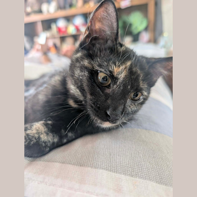 Photo of Willa