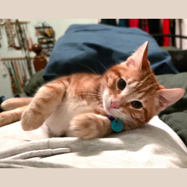 Photo of Thor