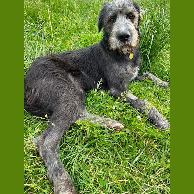 Photo of Aldric
