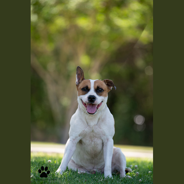 Photo of Monty