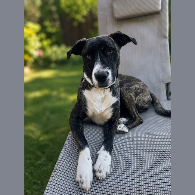 Photo of Zelda