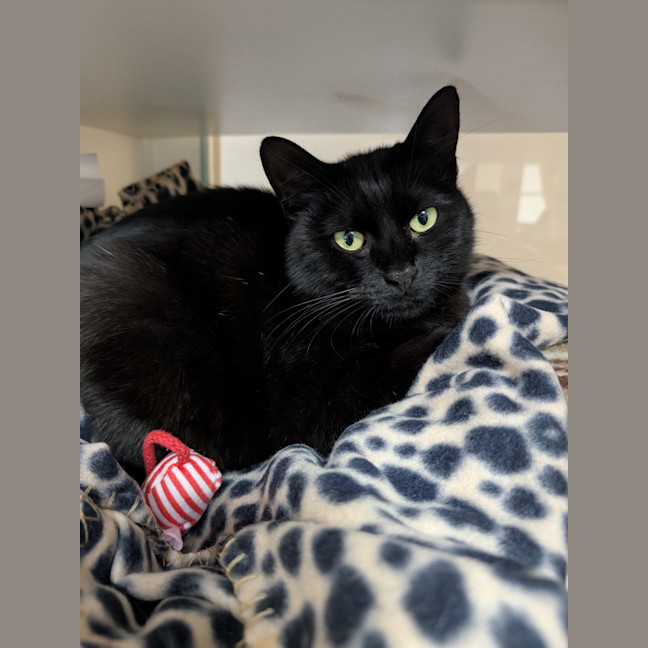 Photo of Kennedy