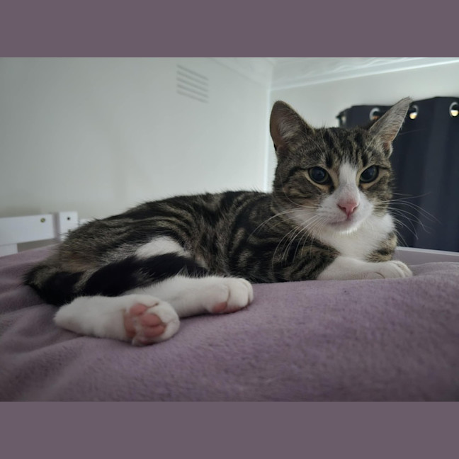 Photo of Sandy