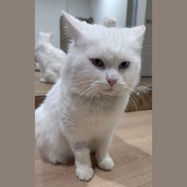 Photo of Liyana And Luci