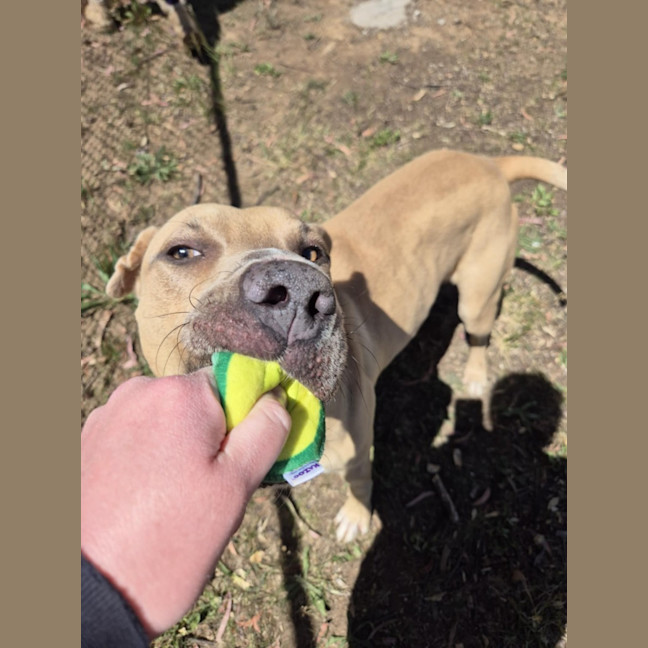 Photo of Mike! 🛋️🦎