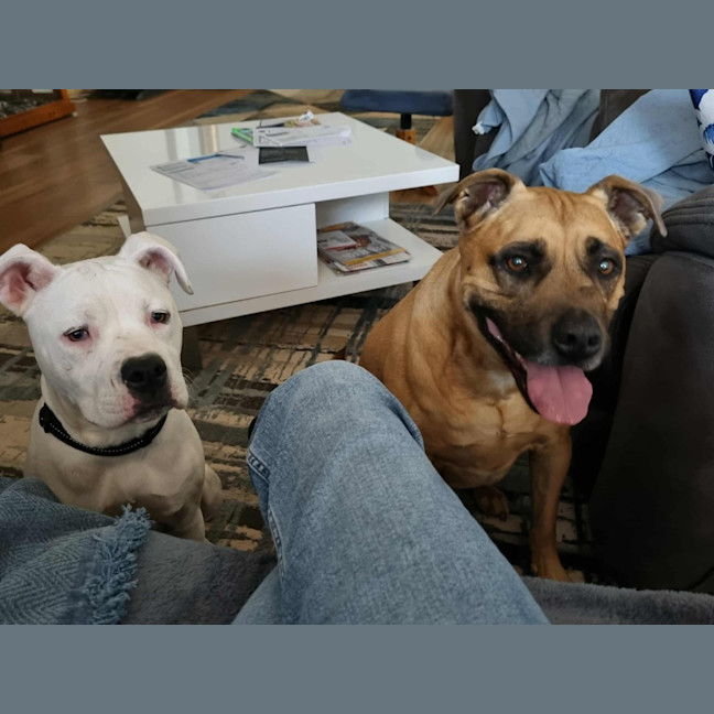 Photo of Crème Brulee