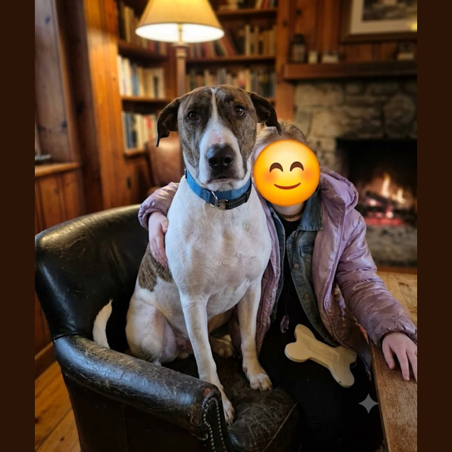 Photo of Bully