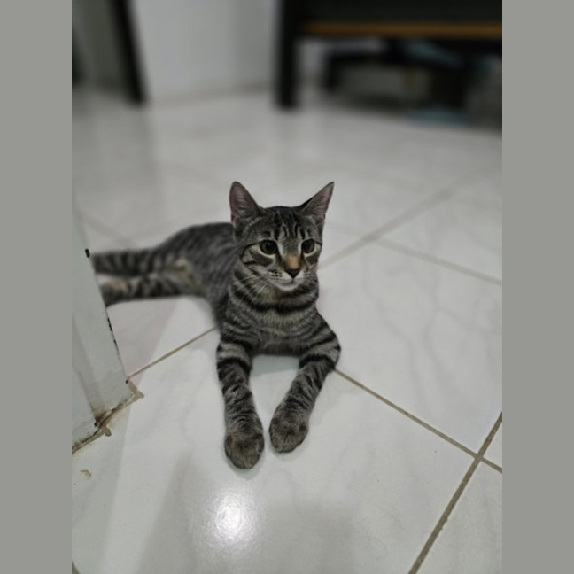 Photo of Bobbi