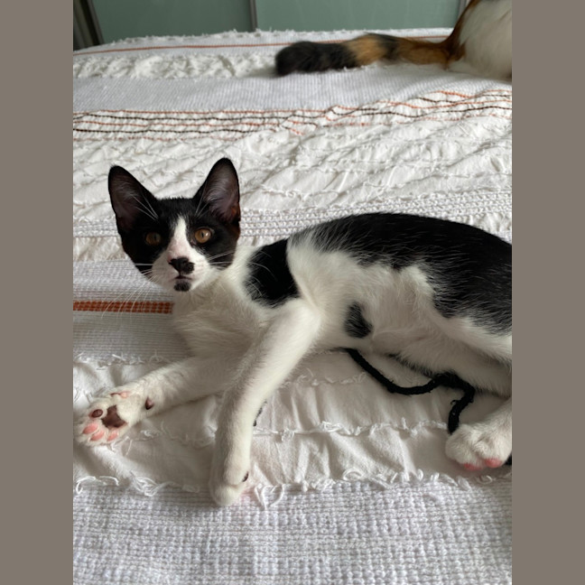 Photo of Lucy