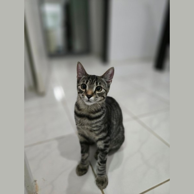 Photo of Bobbi