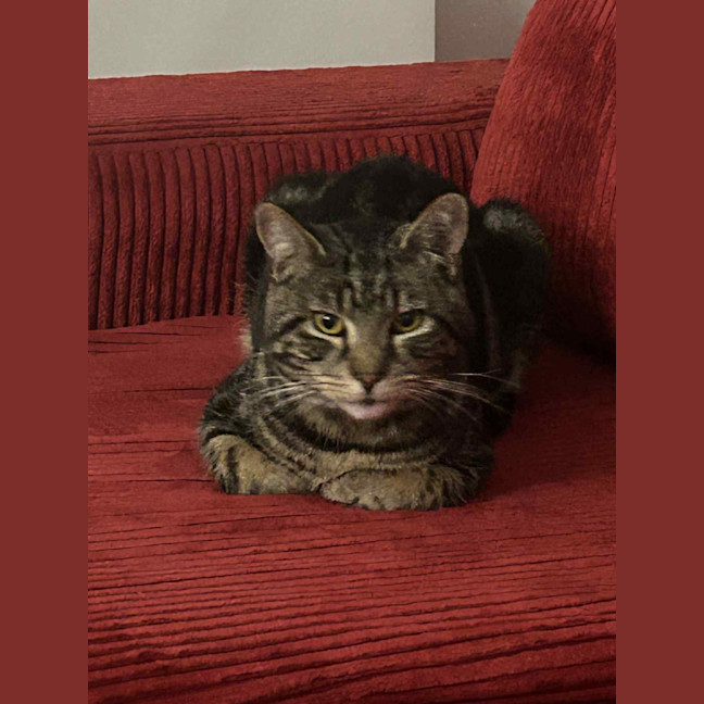 Photo of Max Purkinje