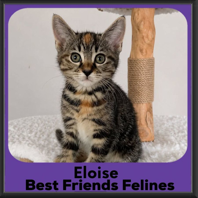 Photo of Eloise