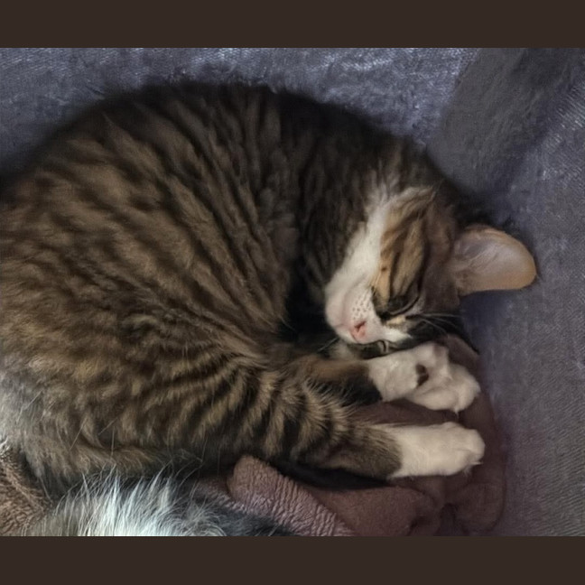 Photo of Bruce