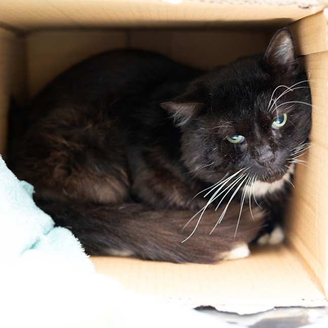 Photo of Chunky Monkey