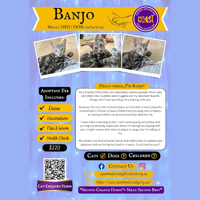 Photo of Banjo