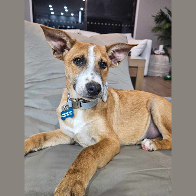 Photo of Wilfred