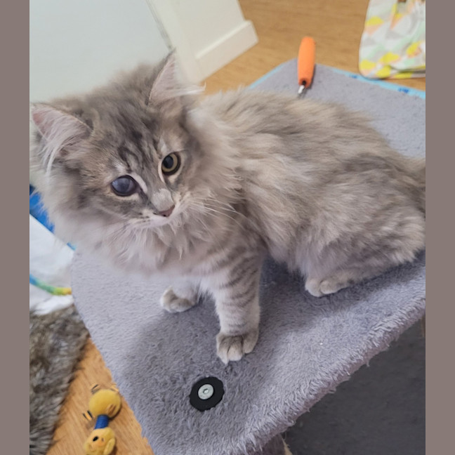 Photo of Rosie