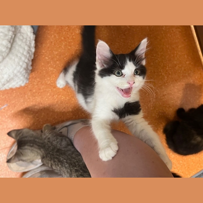 Photo of Brian Molko