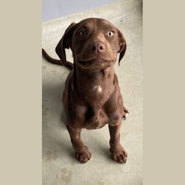 Photo of Polly Waffle