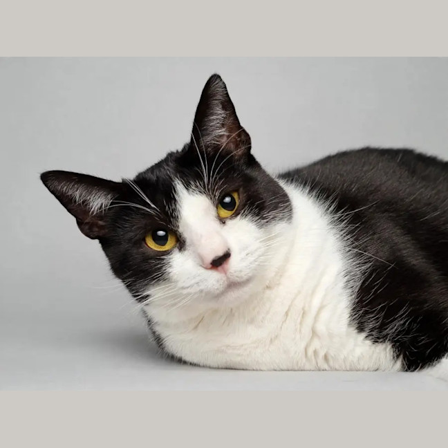 Photo of Kiki