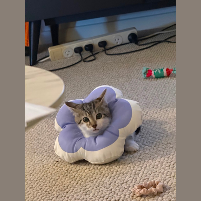 Photo of Yuki