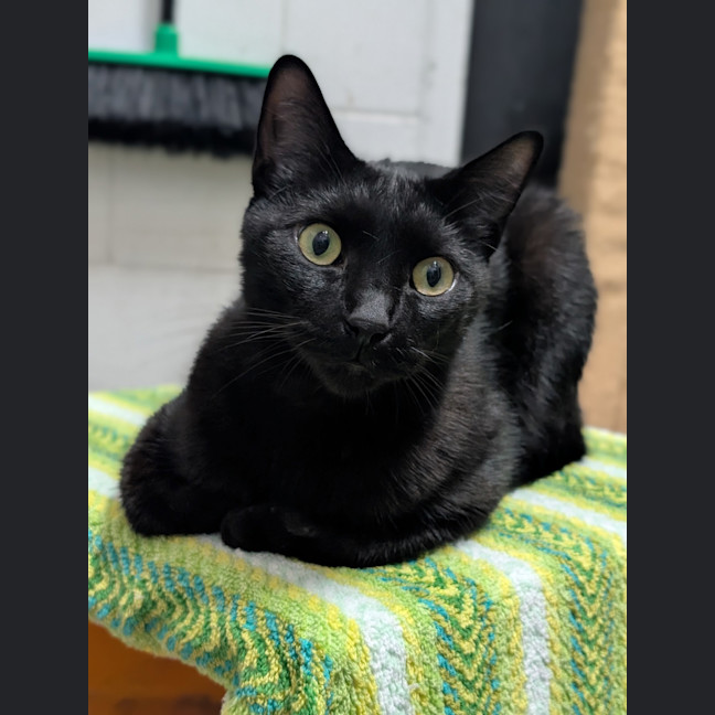 Photo of Friday