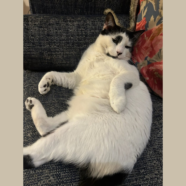 Photo of Boris