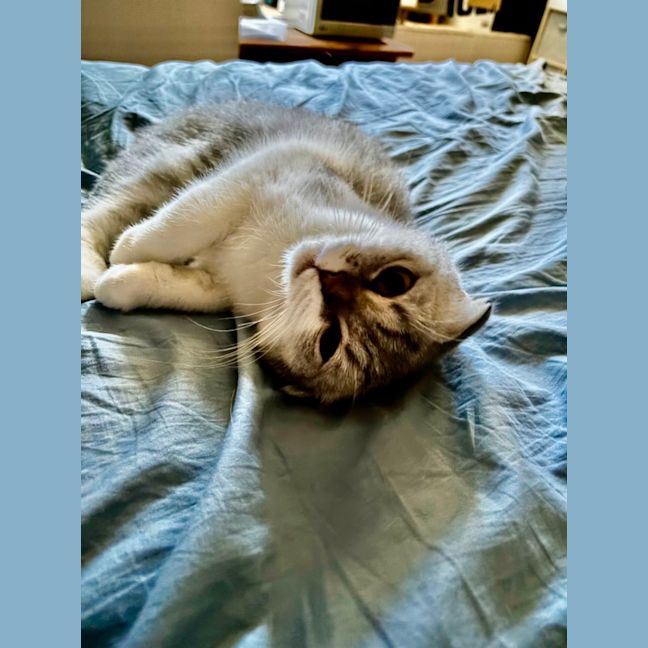 Photo of Reyne (Rain)
