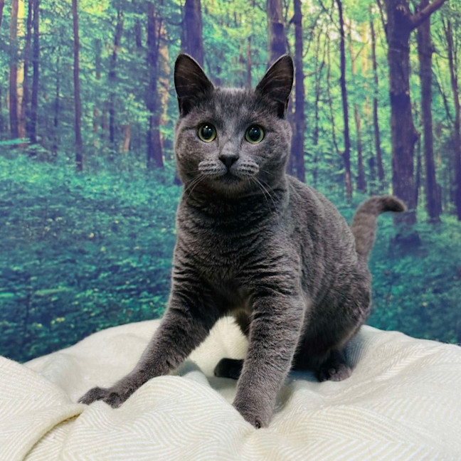 Photo of Travis   Located In Preston