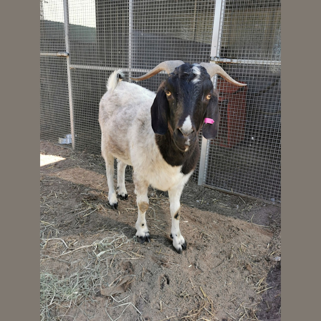 Photo of Carl
