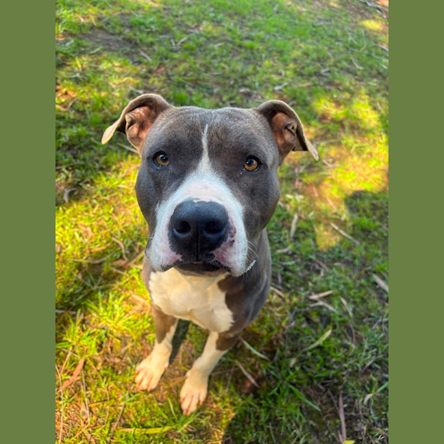Photo of Zeus