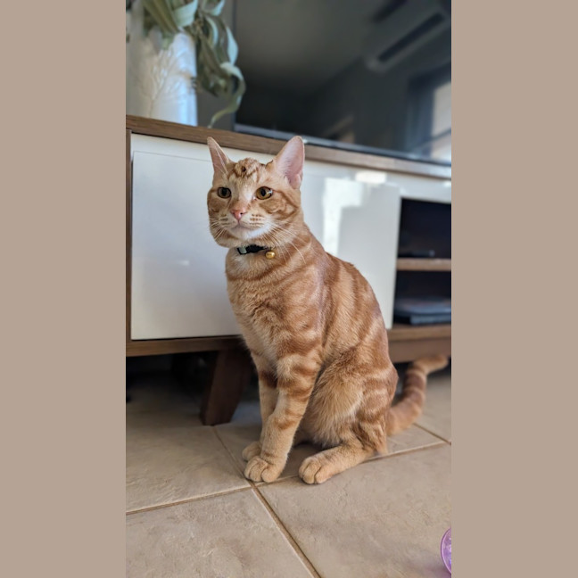 Photo of Popeye