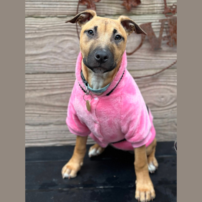 Photo of Sassypants
