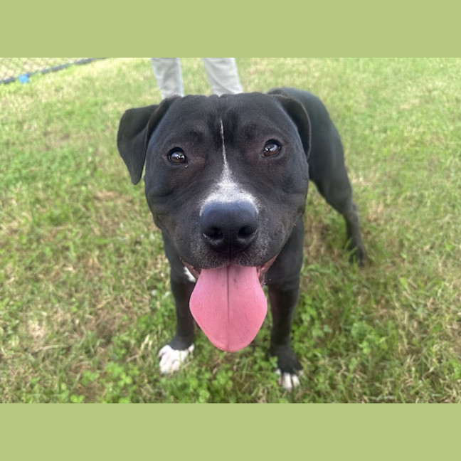 Photo of Cruiser Imp 430