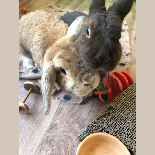 Photo of Fluffy (With Peter)