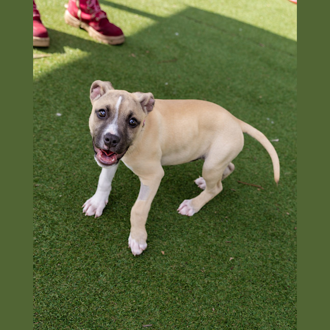 Photo of Lottie Bell