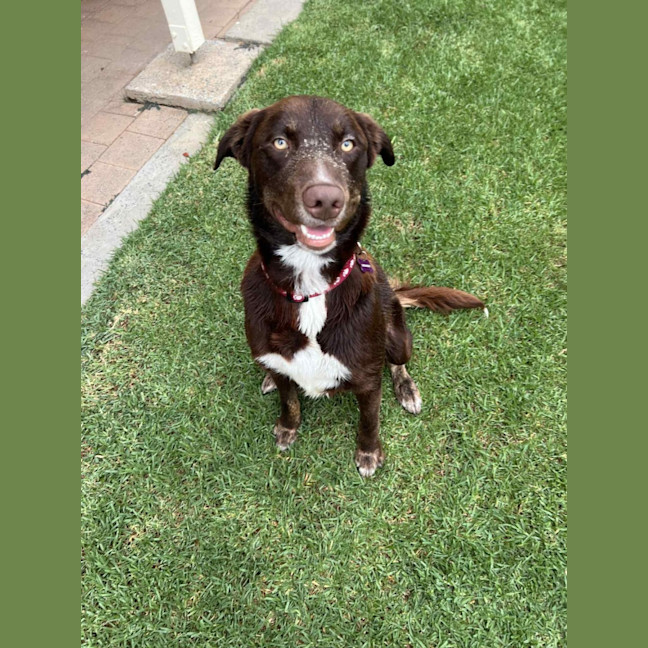 Photo of Ace