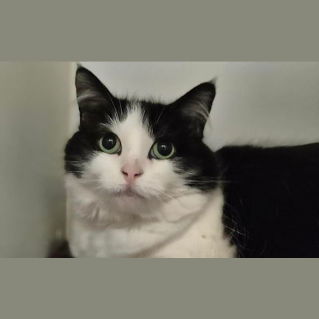 Photo of Terri